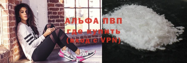 прущие грибы Верхний Тагил