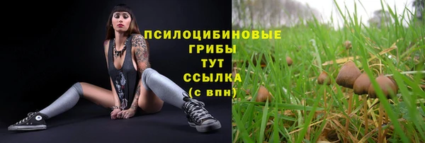 молекула духа Верея