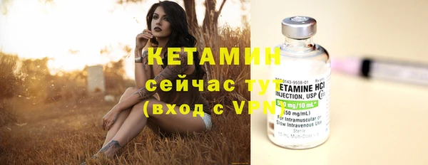 прущие грибы Верхний Тагил