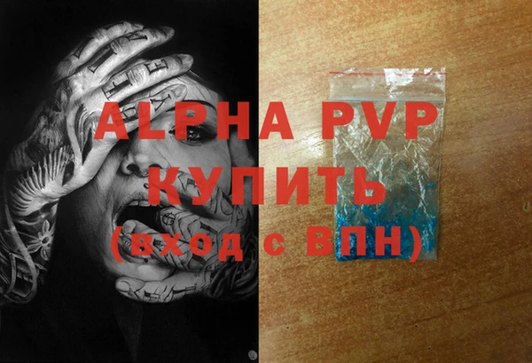 прущие грибы Верхний Тагил