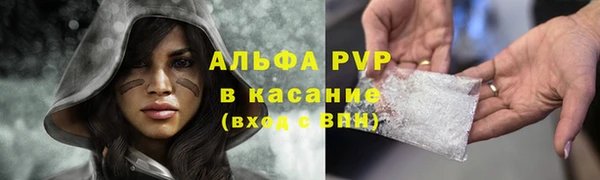 прущие грибы Верхний Тагил