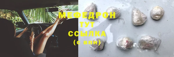 прущие грибы Верхний Тагил