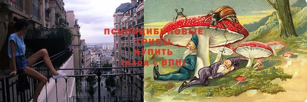 прущие грибы Верхний Тагил
