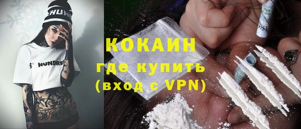 прущие грибы Верхний Тагил