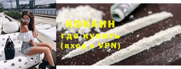 прущие грибы Верхний Тагил