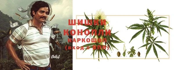 прущие грибы Верхний Тагил