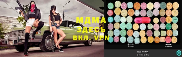 прущие грибы Верхний Тагил