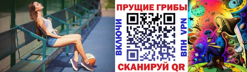 купить закладку  Ангарск  Галлюциногенные грибы Psilocybe 